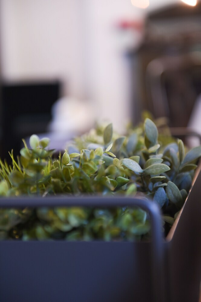 Bed & Breakfast Il Giardino Segreto