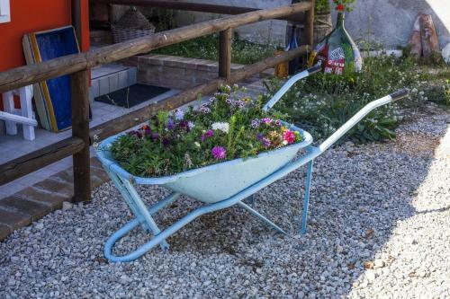 Bed & Breakfast Giuggiolando