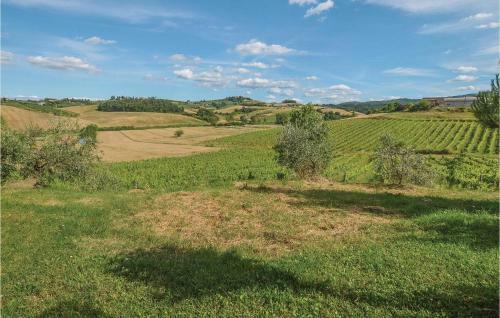 Podere Pantano Ii, Frantoio