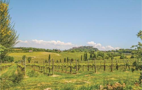 Podere Pantano Ii, Frantoio