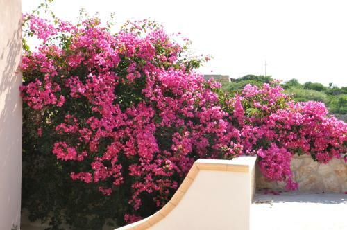 Apartamento Villa Grazia