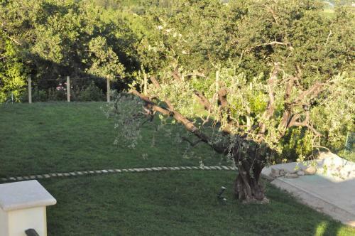 Agroturismo Agriturismo Monte Maggio