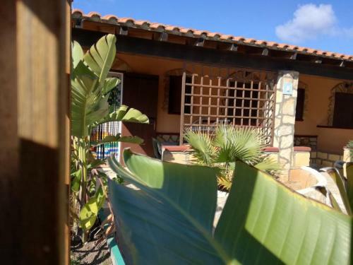 Apartamento Mamal�