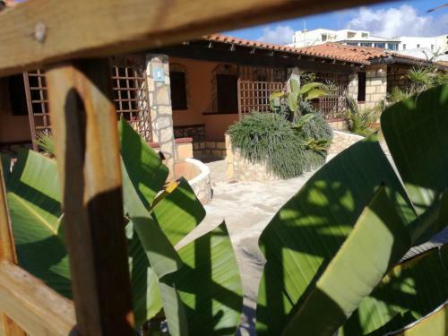 Apartamento Mamal�