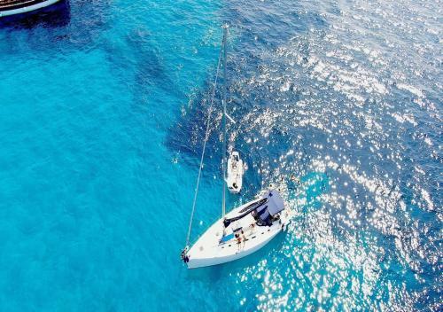 Barca A Vela Delfina