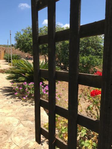 Apartamento Dammusi Cala Galera