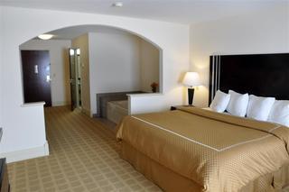 Hotel Best Western Plus Kalamazoo Suites