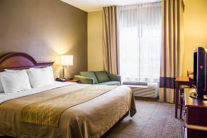 Hotel Comfort Inn