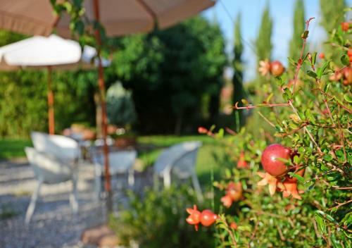 Apartamento Jardin Rose