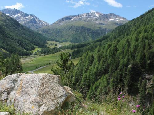 Apartamento Alpina 2