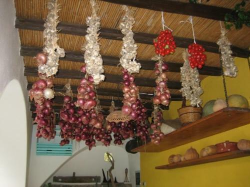 Agroturismo Agriturismo Casa Gialla