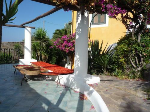 Agroturismo Agriturismo Casa Gialla
