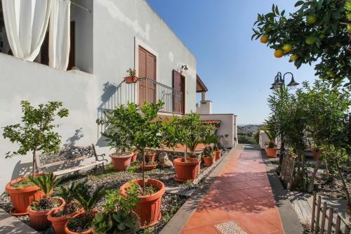 Bed & Breakfast Room Didyme With Sea View