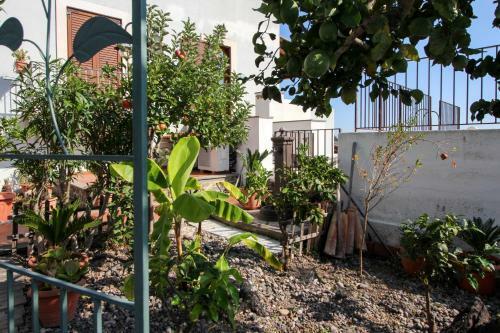 Bed & Breakfast Room Didyme With Sea View