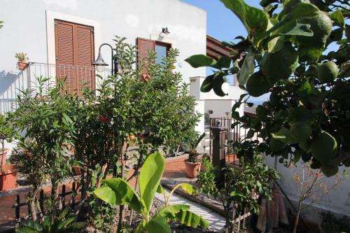 Bed & Breakfast Room Didyme With Sea View