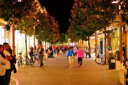 Apartments In Lignano Sabbiadoro 21780