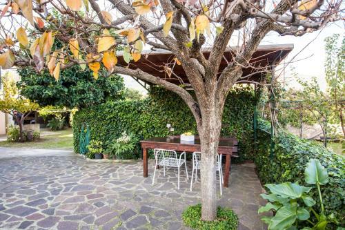 Apartamento Appartamento L' Edera