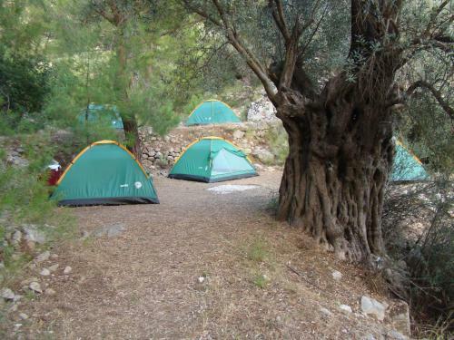 Reflections Camp