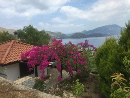 Hostal Selimiye Houses