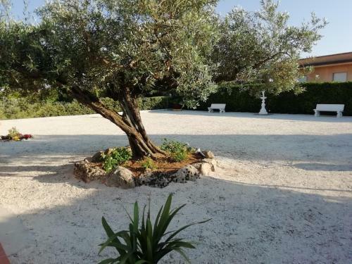 Apartamento Stella Di Mare Appartamenti