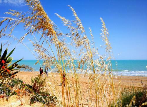 Salicornia Vacanze I Fondali