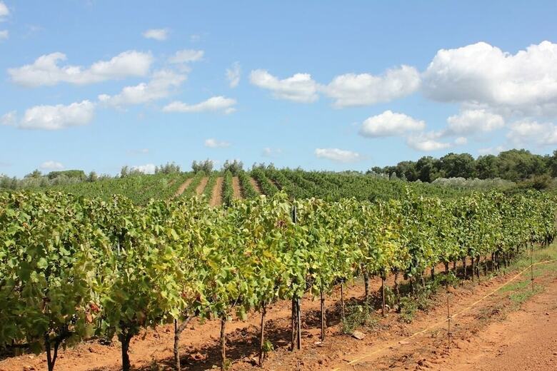 Agroturismo Agriturismo Valentini