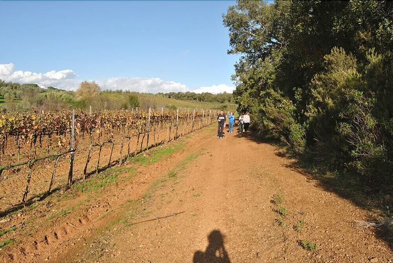 Agroturismo Agriturismo Valentini