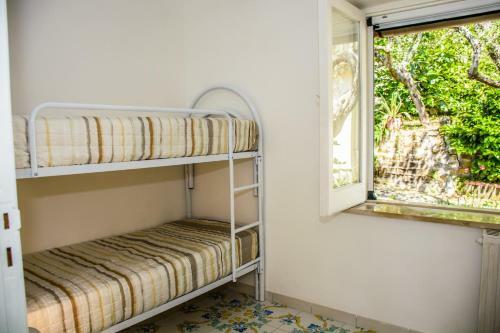 Casa Il Negrito