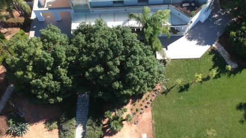 Villa Cucci
