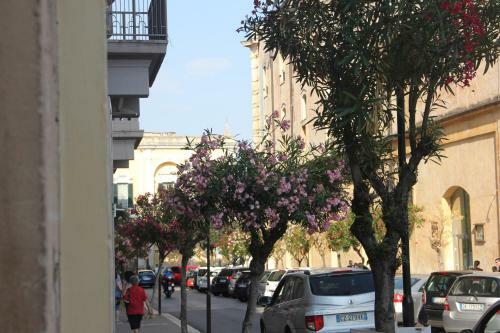 Hostal Matera Guest House