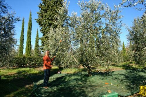 Agroturismo Donzellino