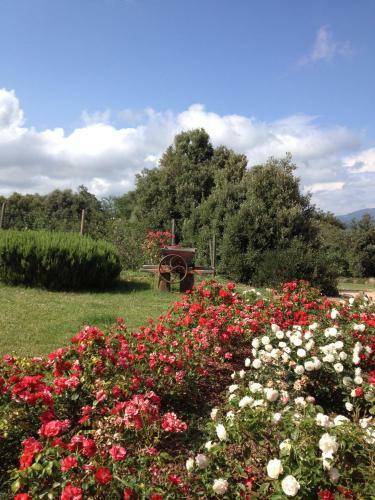 Agroturismo Donzellino