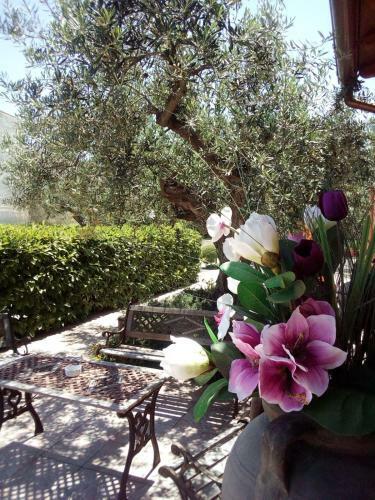 Hotel Villa Plasi