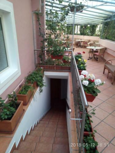 Hostal Gasthof Mondschein