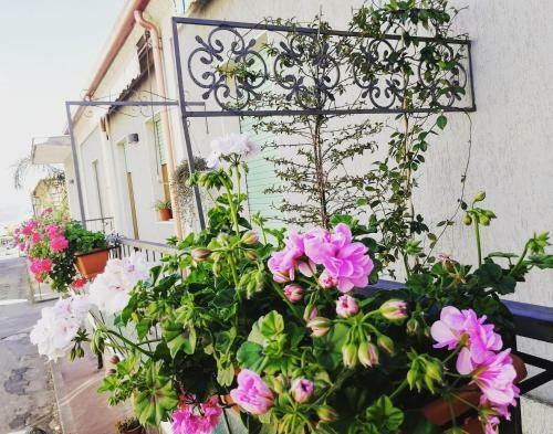 Bed & Breakfast Donna Melina