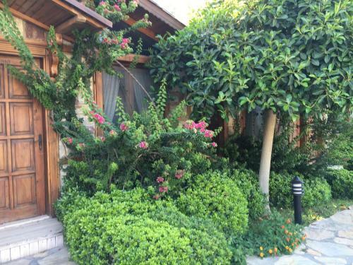 Hostal Luna Begonvil Tas Evler