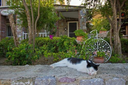 Hostal Losta Sahil Evi