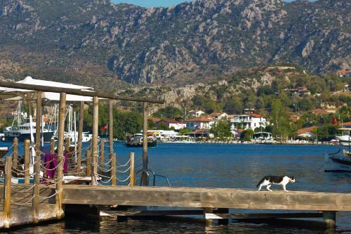 Hostal Losta Sahil Evi