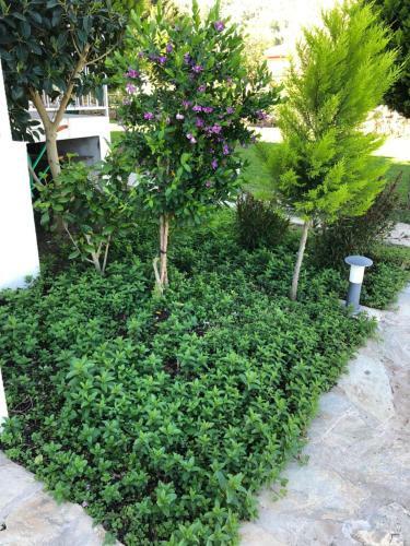 Melek Hotels Selimiye
