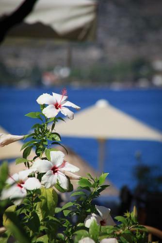 Melek Hotels Selimiye
