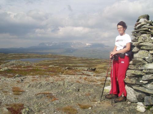 Lodge Hakkesetst�len Hytter