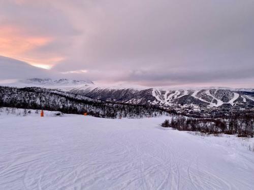 Hotel Hakkesetst�len Fjellstugu