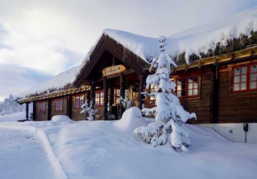Hotel Hakkesetst�len Fjellstugu