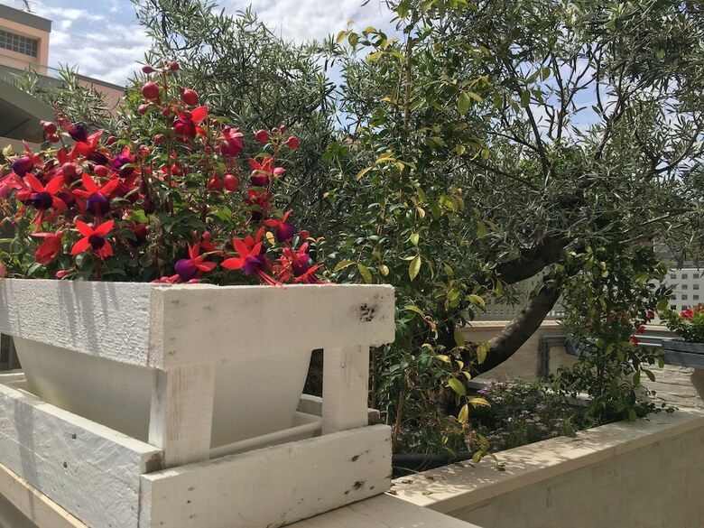 Hostal Quinque - Urban House