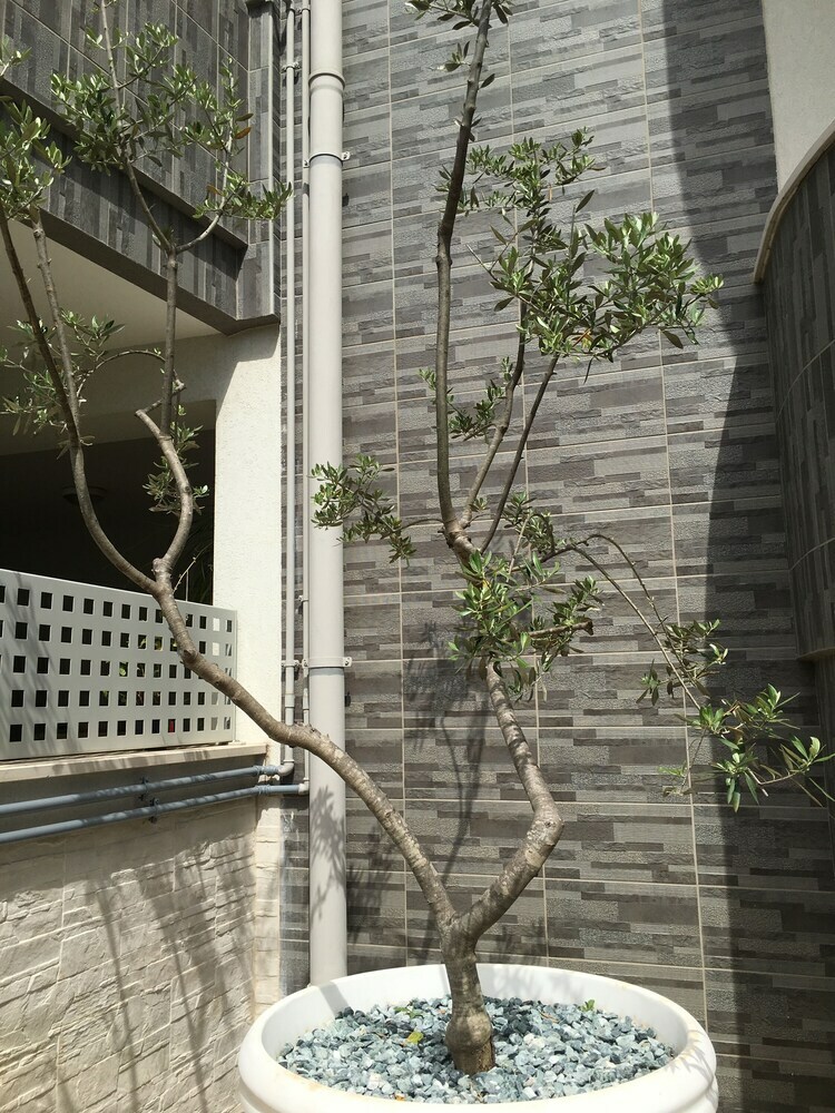 Hostal Quinque - Urban House