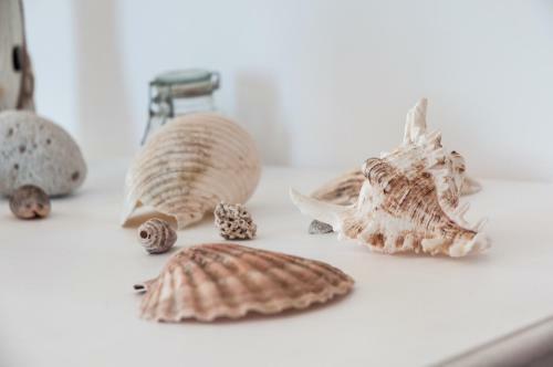 Apartamento Helloapulia_casa Conchiglia