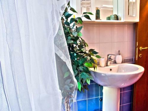 Le C� de Boron The Garden View Apartment