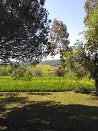 Agroturismo Agriturismo Uliveto Gretacci