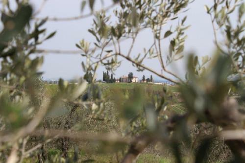 Agroturismo Relais Pugliano