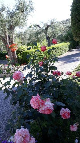 Agroturismo Il Cancello Rosso